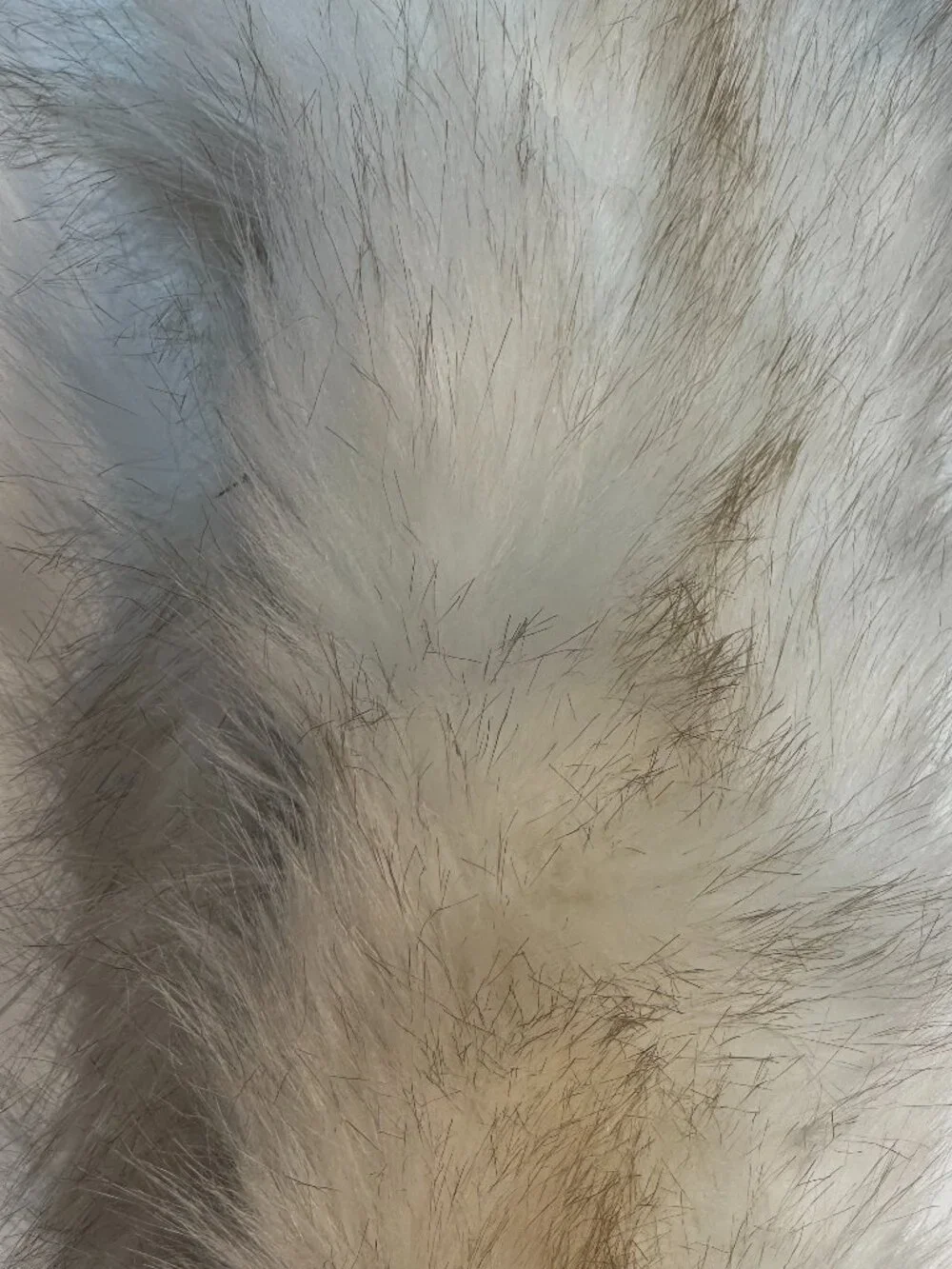 N/A beautiful white